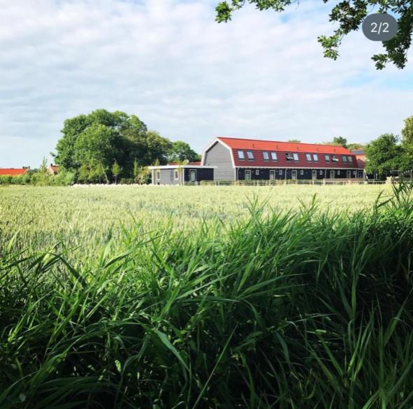 Vakantiewoning De Schelp 엘레메이트 외부 사진